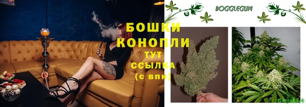 бошки Аркадак