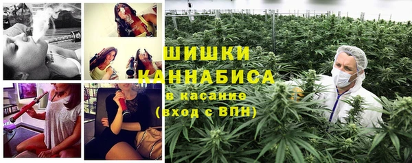 бошки Аркадак