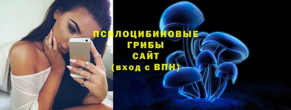бошки Аркадак