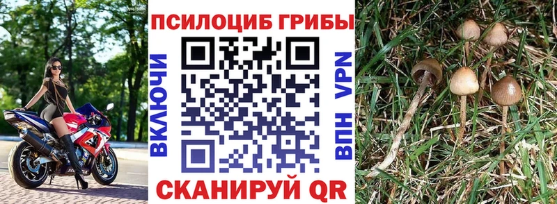 Галлюциногенные грибы ЛСД  mega как войти  Собинка 